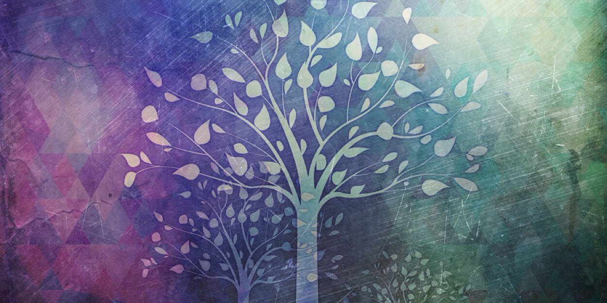 bishopll's profile banner image