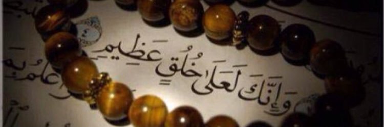 وضحى الشريف banner