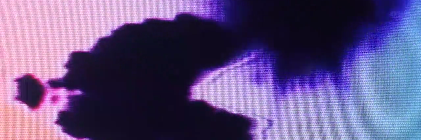 Celia Paysan banner