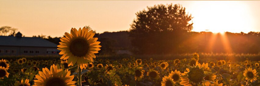 dattalatta_69's profile banner image