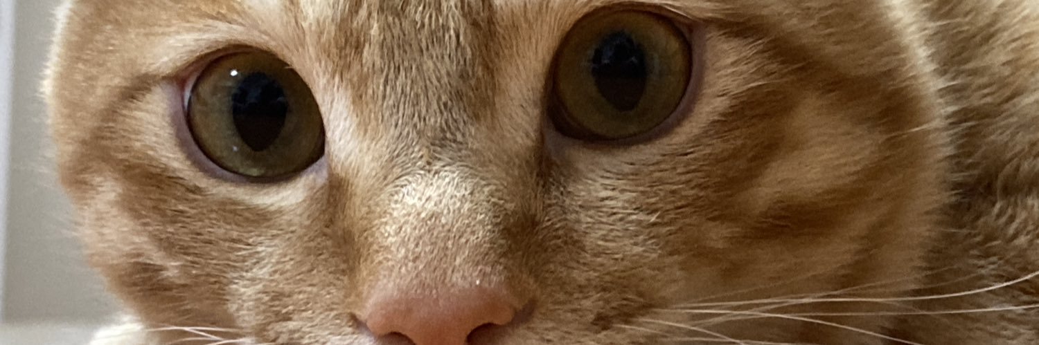 sun_show's profile banner image