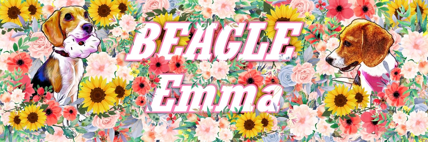 エマ娘 banner