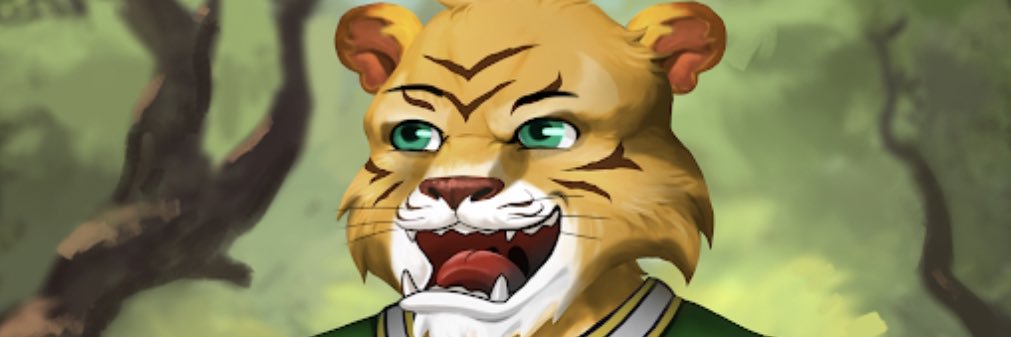 MathieuVanflet1's profile banner image