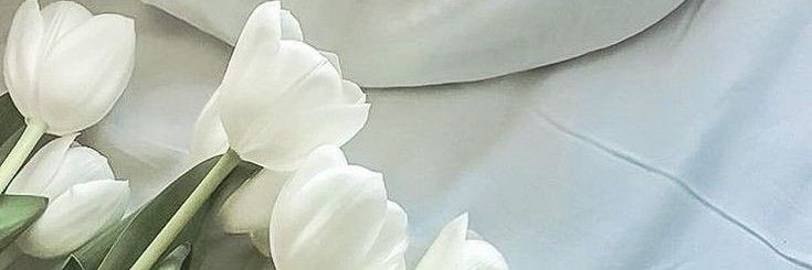 krph26's profile banner image