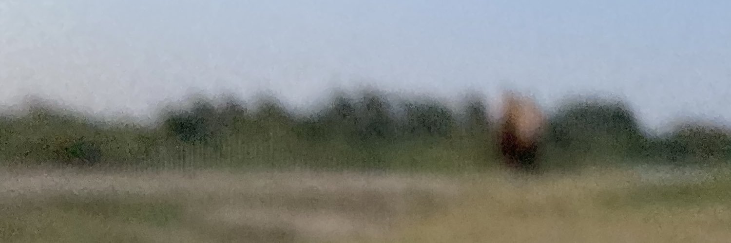 inti banner