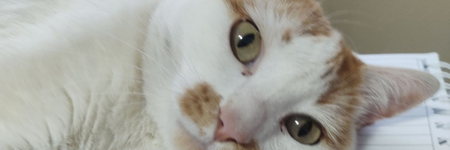 Samialfonso's profile banner image