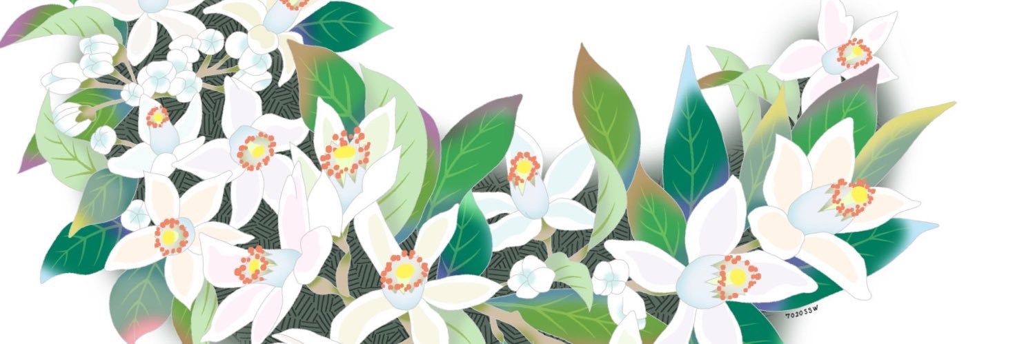 7020SSW【NFT creater】 banner