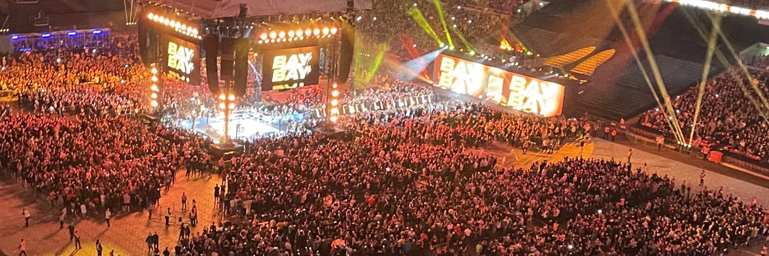 Helmuts Vanags banner