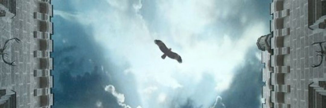 Samira_Nova's profile banner image