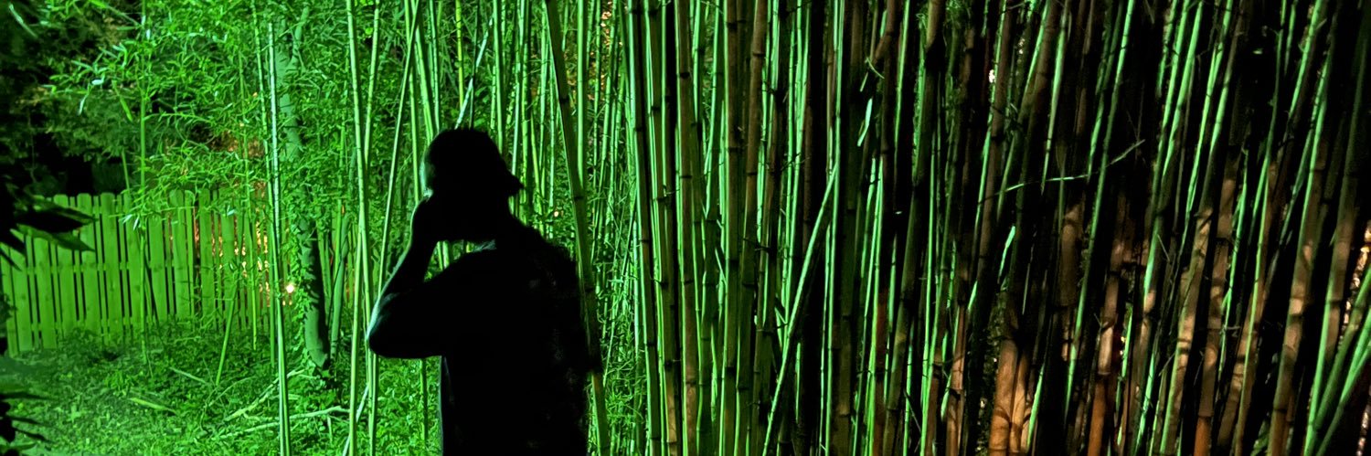 vvsaintnick's profile banner image