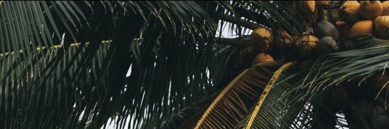 nocaller77's profile banner image
