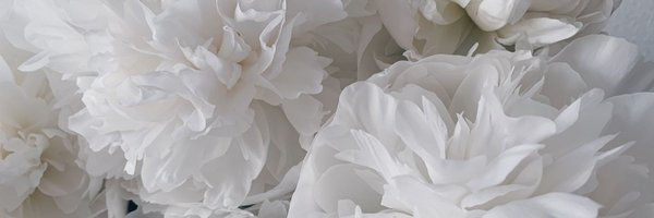 ssalt0816 Profile Banner