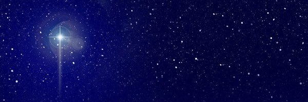 WiseShepherd's profile banner image