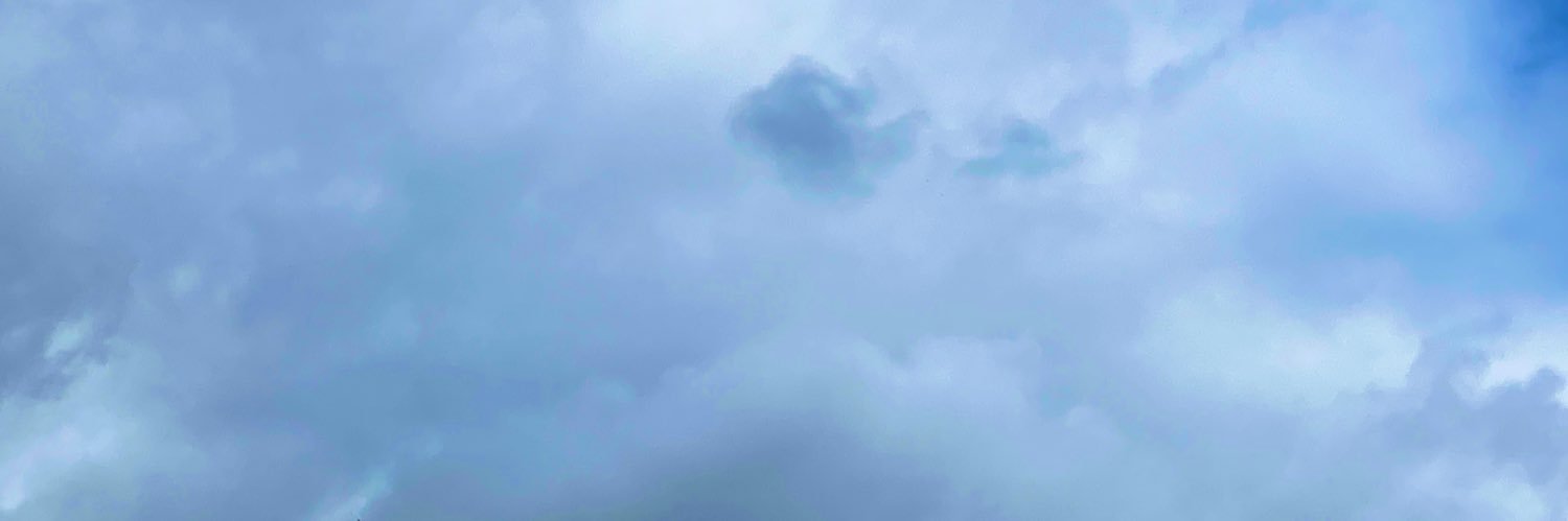 riptourpussy's profile banner image