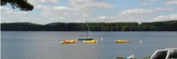 Activital Profile Banner