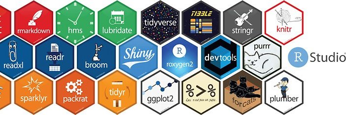 𝗕𝗼𝗯 𝗪𝗲𝗲𝗸𝘀 🇺🇸🗽🇺🇦🙀☕️ 🐾🥬🥡 banner