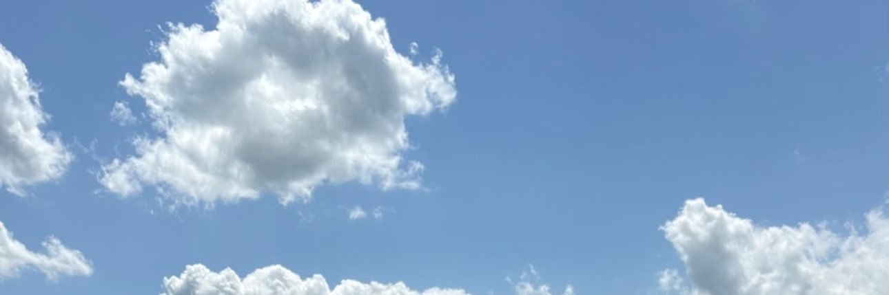 Bexton Steltz banner