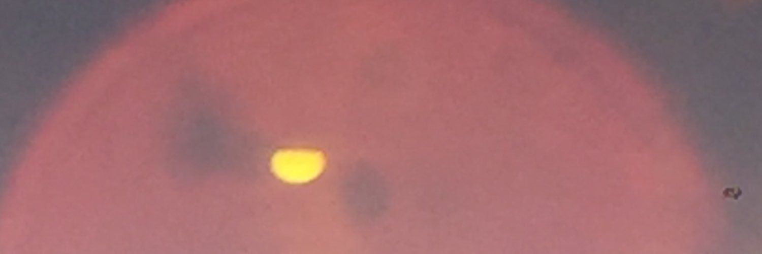 Fabrice Dewasmes banner