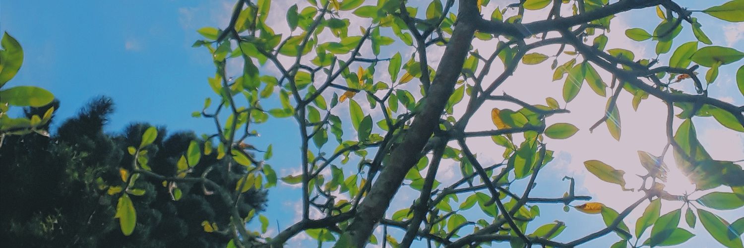 dedepiya's profile banner image