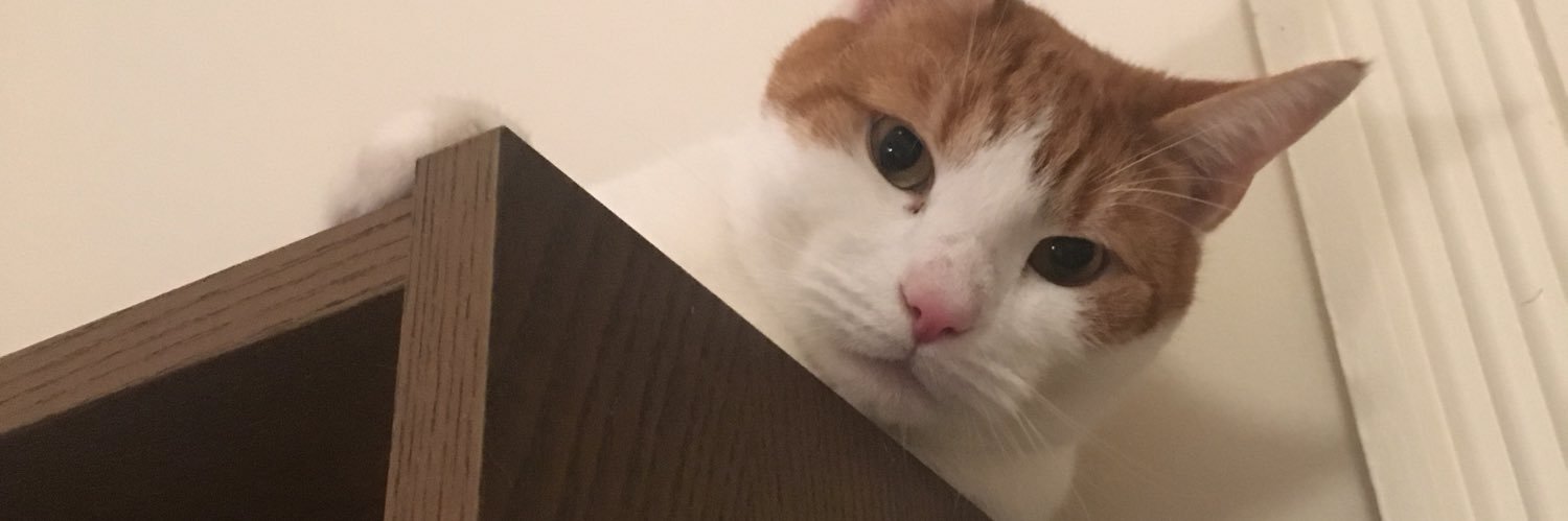 LauraD724's profile banner image