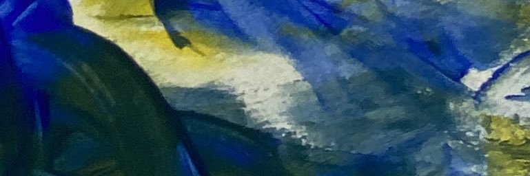 わたうみ's banner