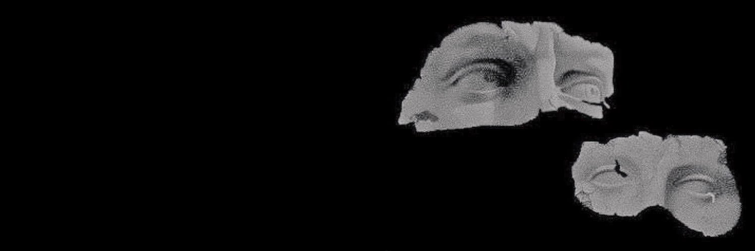 diiversus's profile banner image