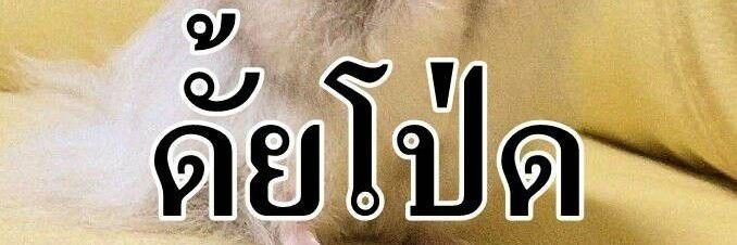 Ta.llRa banner
