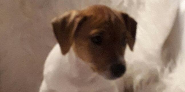 TomyBenson's profile banner image