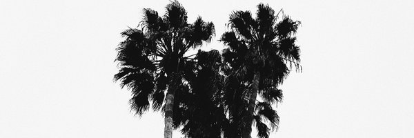 JesseGilbert Profile Banner
