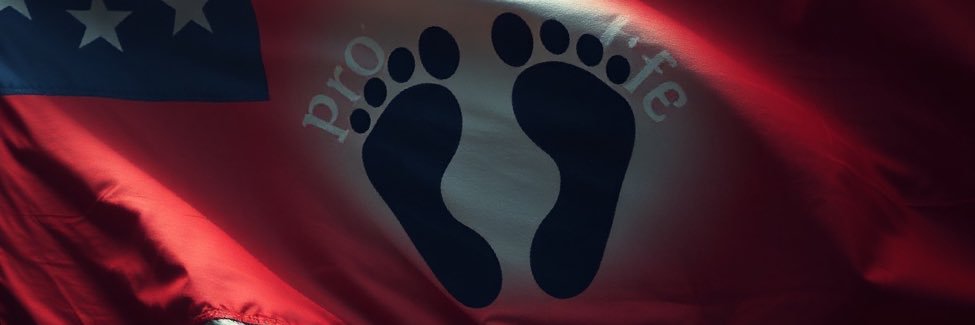 The Swift Sword of Peanut banner