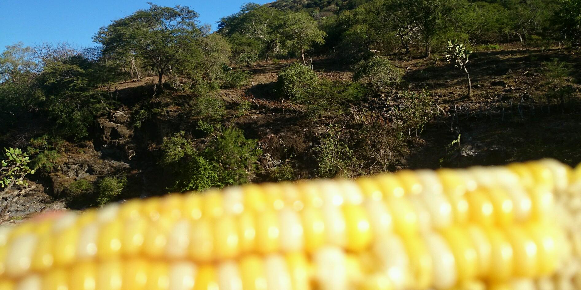 QUIQUETECO's profile banner image