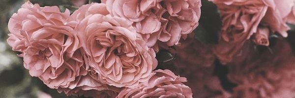 Redimidas_'s profile banner image