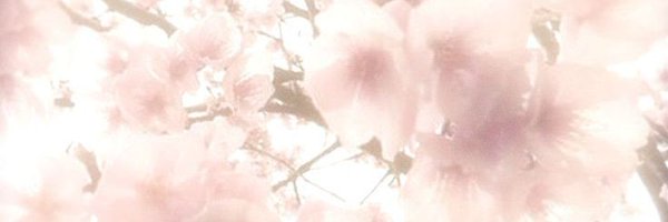 laitoue Profile Banner