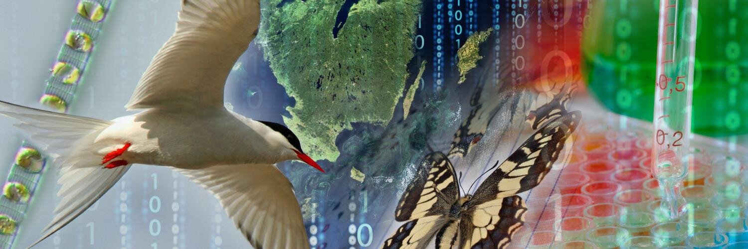 Swedish LifeWatch banner