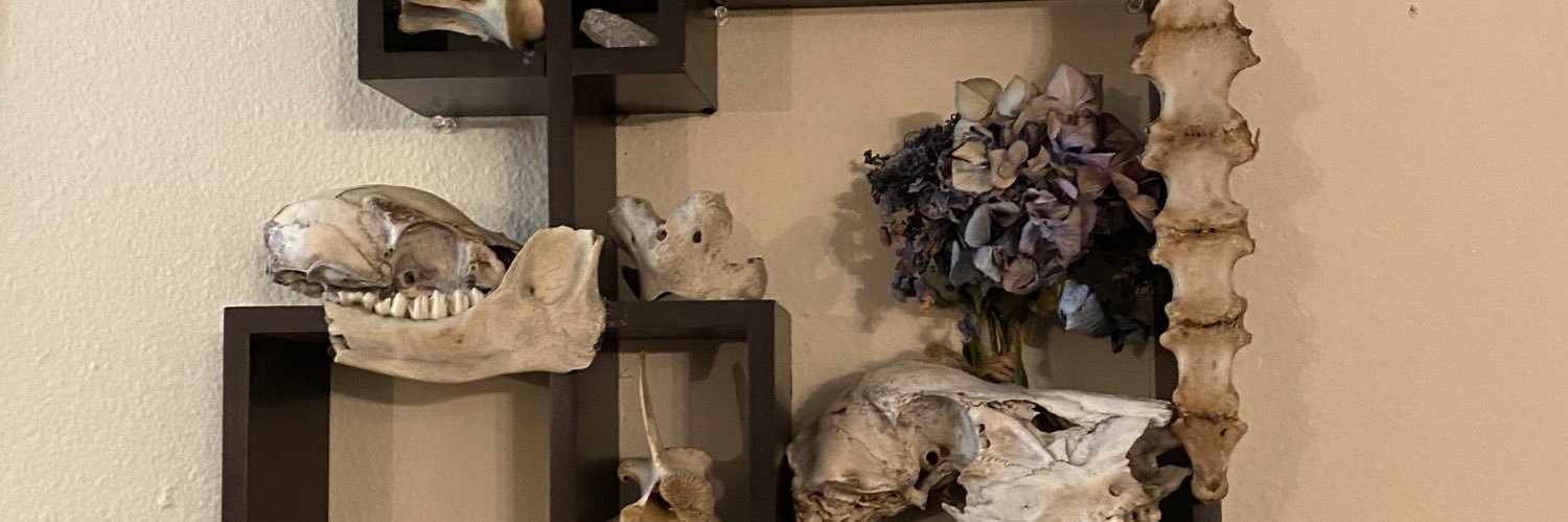 GraceIsrael's profile banner image