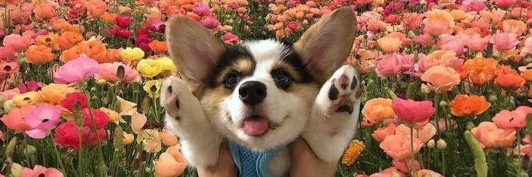 Manishpanche9's profile banner image