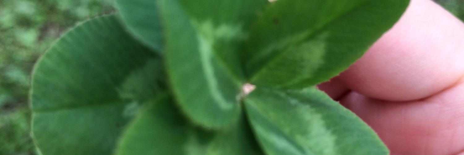 barcwarld's profile banner image