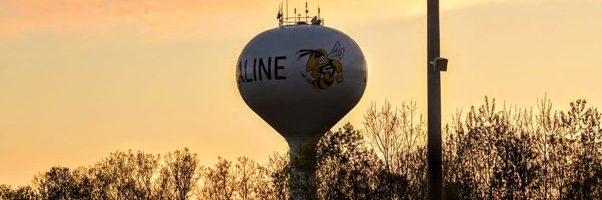 Saline Speed Men's T & F banner