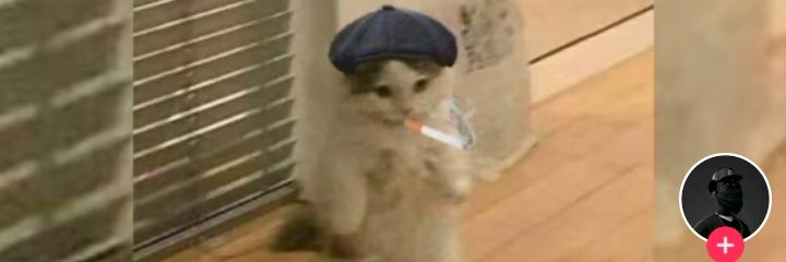 ChuquelDavid's profile banner image