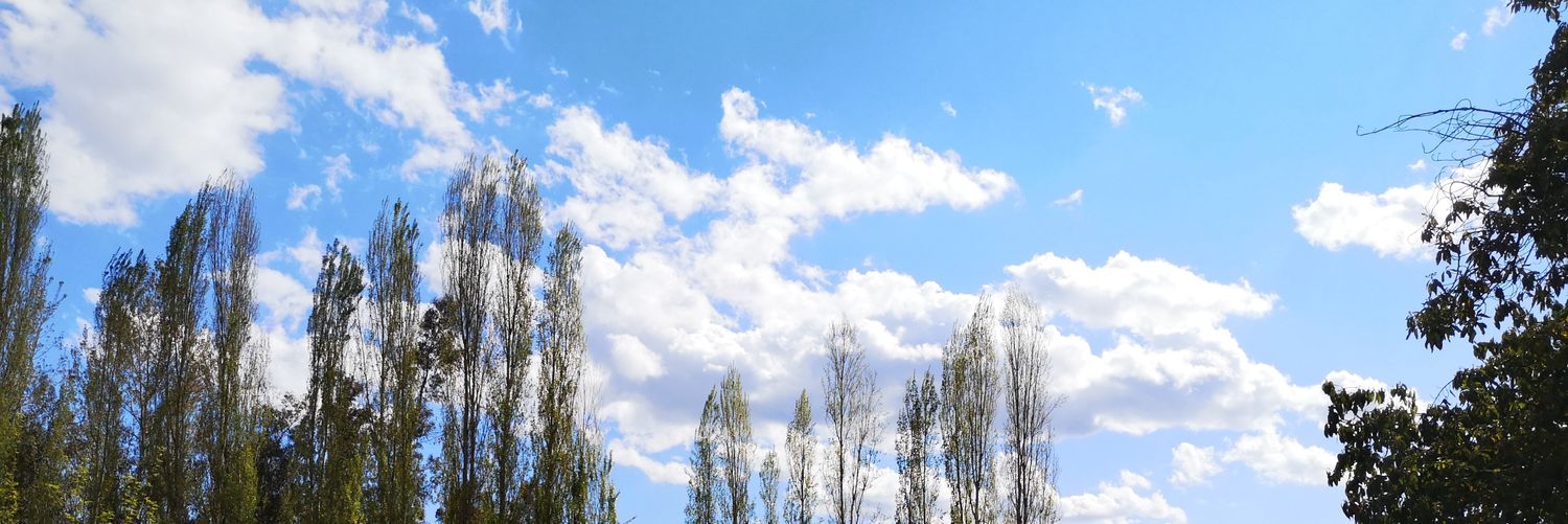 MARCE_PP's profile banner image