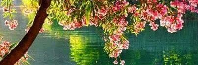 ElizabethChouri's profile banner image
