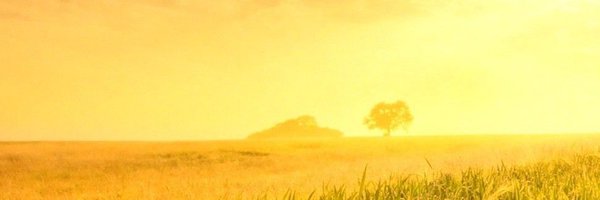 TheKing_SSB Profile Banner