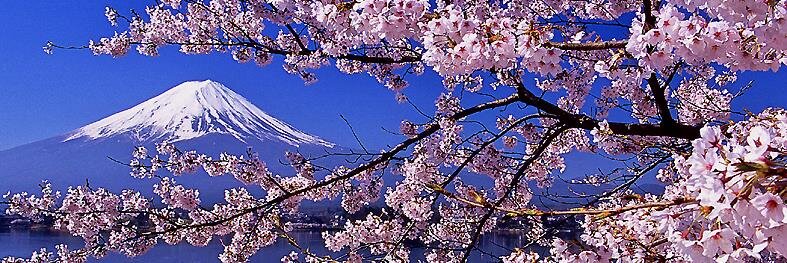 akane_mtl's profile banner image