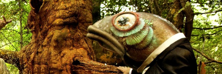 Mister Bitterness banner