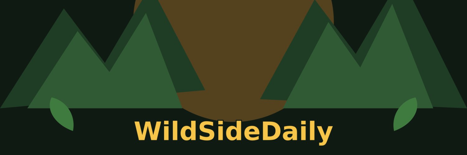 WildSideDaily's profile banner image