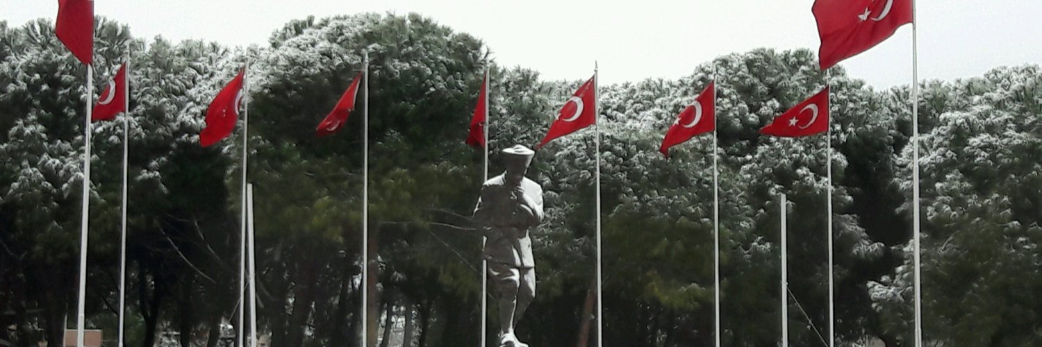 ali_palaa's profile banner image