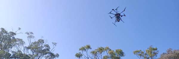 RS_Haynes Profile Banner