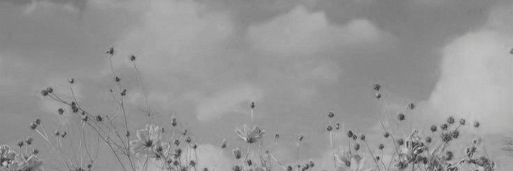 _apiipp_'s profile banner image