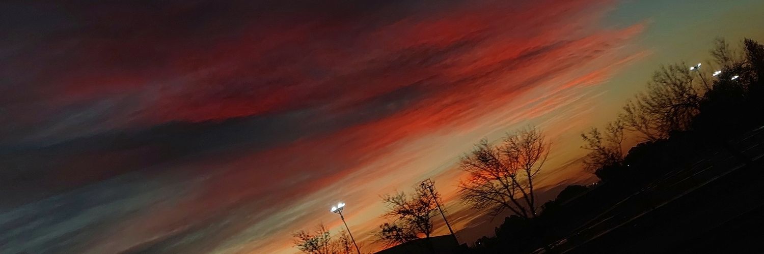 AlanDalvit's profile banner image