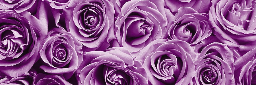 Ms.Giiiiirl💕 banner